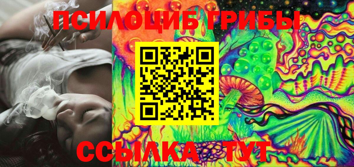 Псилоцибиновые грибы мицелий Тобольск