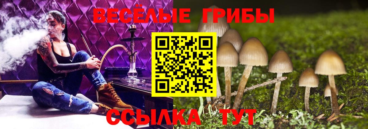 Тобольск  Псилоцибиновые грибы GOLDEN TEACHER  Вход с VPN 