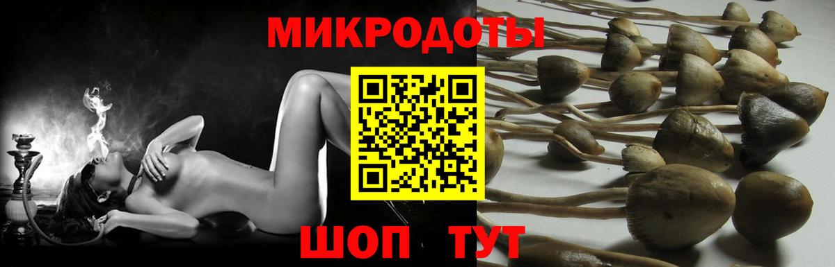 A-PVP Тобольск